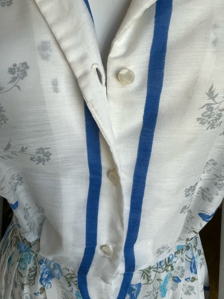 1950s Sheer Blue Roses Dress
